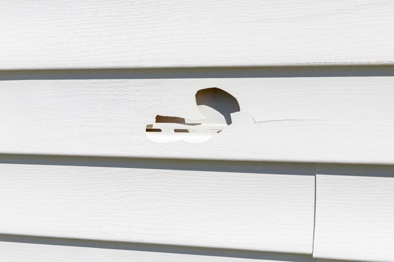 Inspecting Vinyl Siding